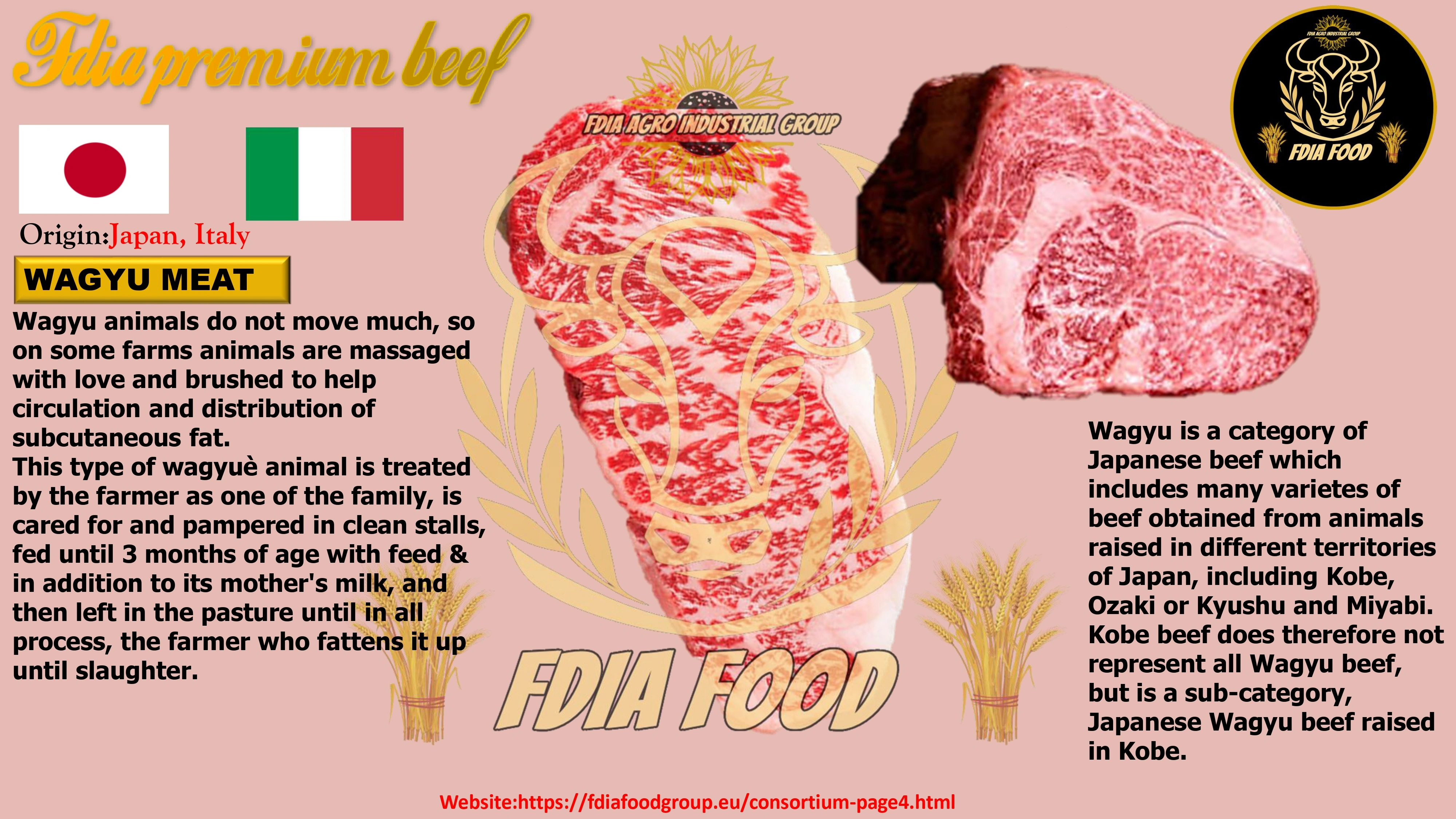 meat (28)